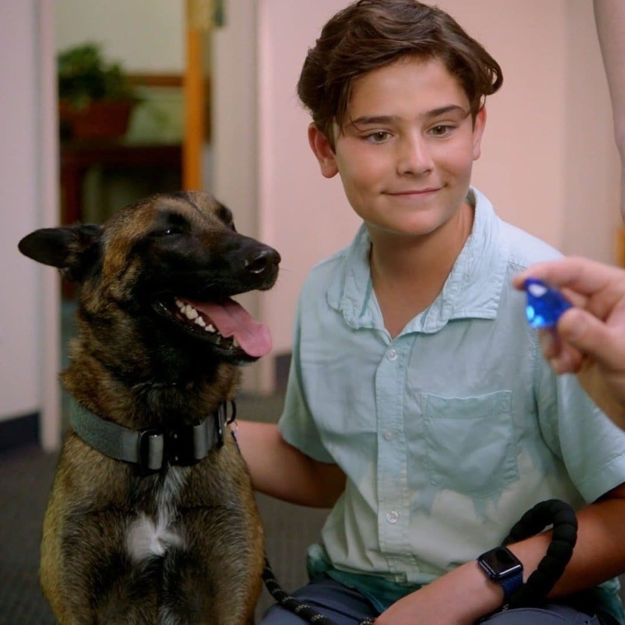 Watch to watch: R.A.D.A.R.: The Adventures of the Bionic Dog (2023)