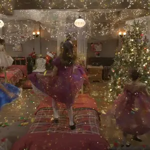 The Search for Santa Paws