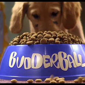 Air Buddies