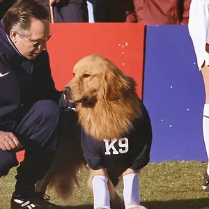 Air Bud: World Pup