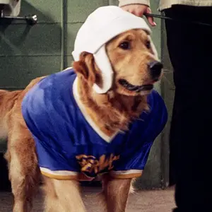 Air Bud: Golden Receiver
