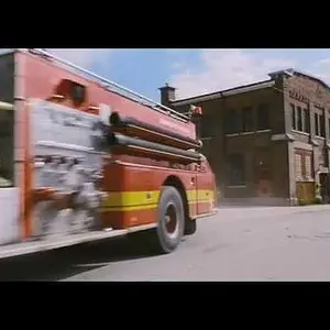 Firehouse Dog