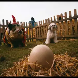 Pudsey the Dog: The Movie