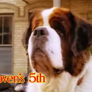 Beethoven's 5th