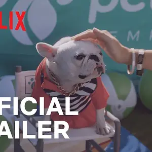 Pet Stars